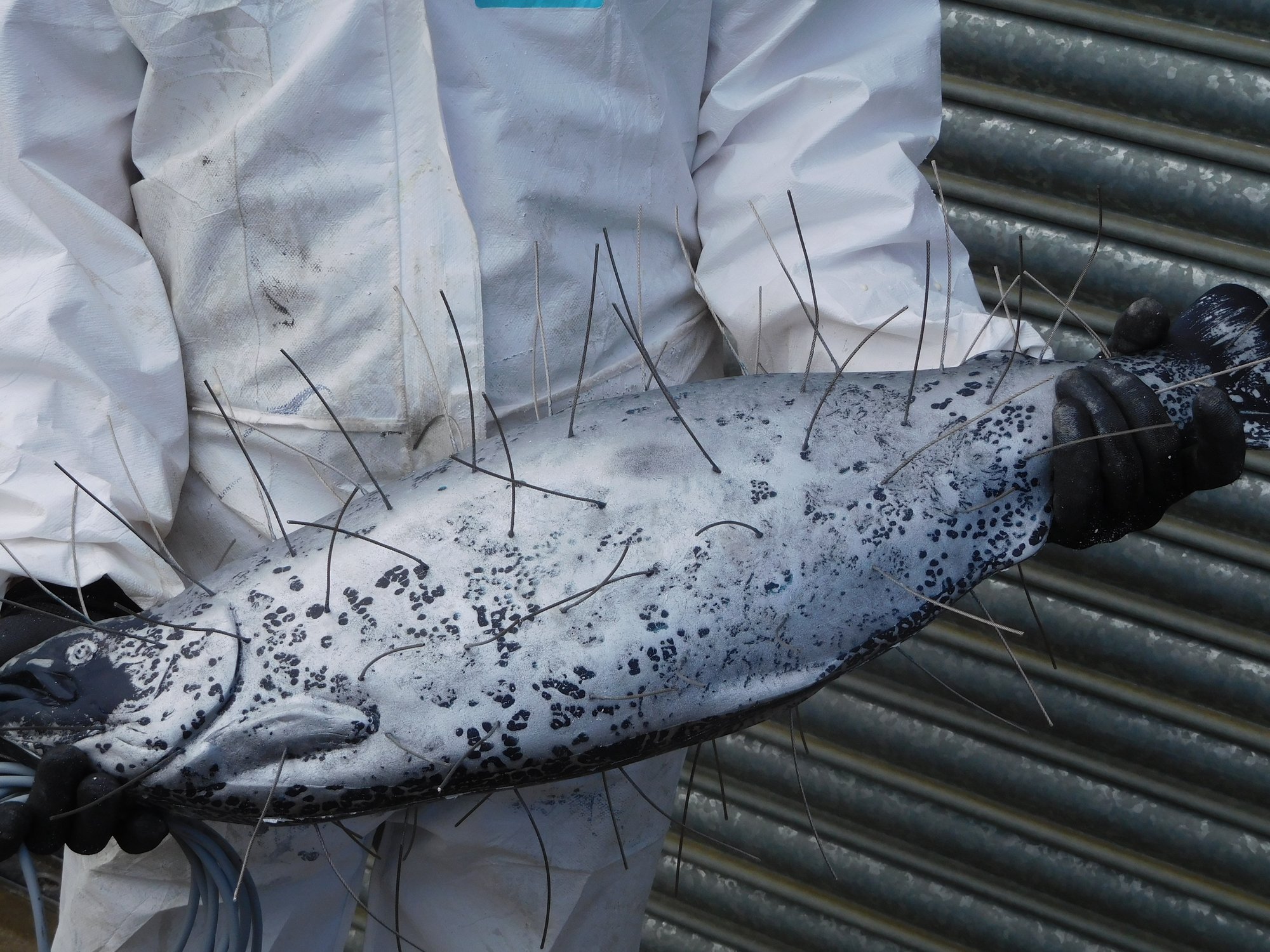 ace-aquatec-salmon-decoy-4
