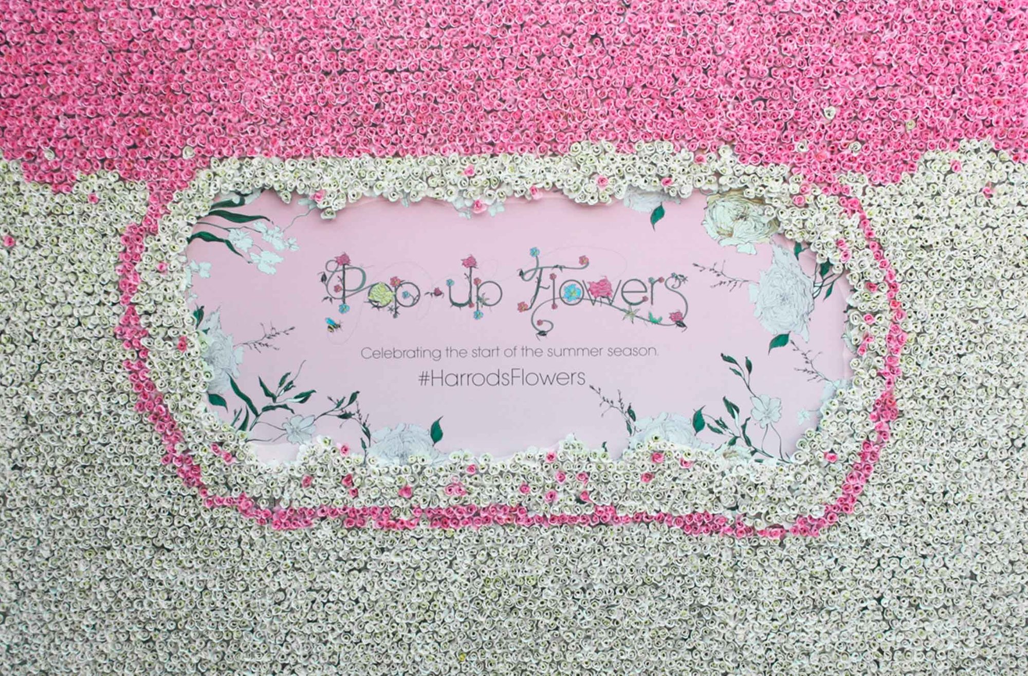 perudo-portfolio-harrods-flower-wall-2