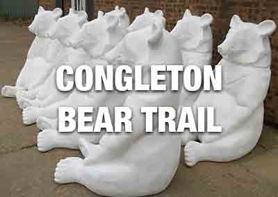 Congleton Bear Trail