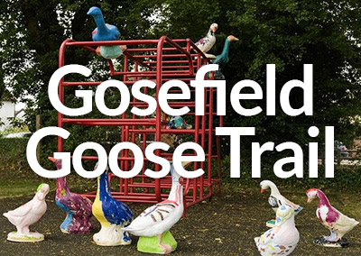 Gosfield Goose Trail