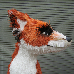 Fox head